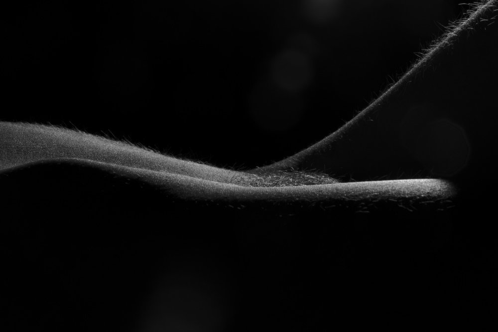 Photograph by Artem Glukhan