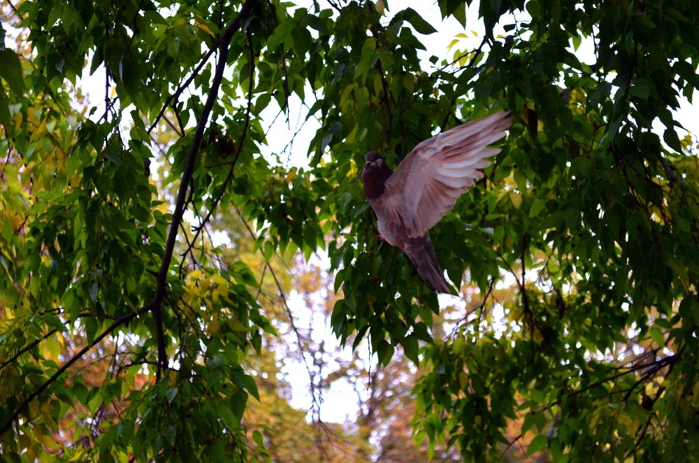 Photograph by Артур Хороший