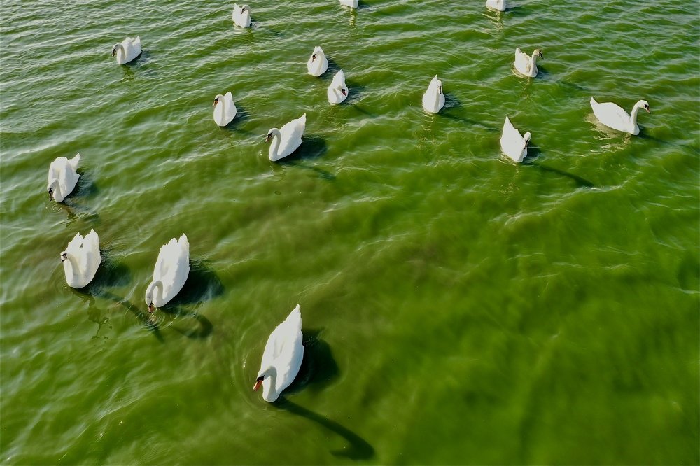 Photograph by Наталья Пирогова