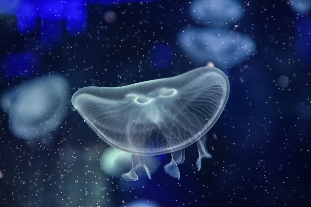 Photograph by Егор Кондратов