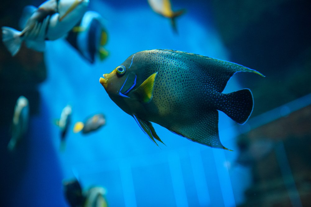 Photograph by Егор Кондратов