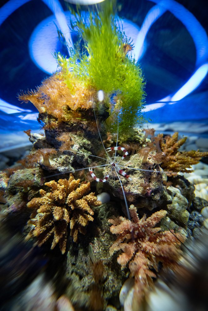 Photograph by Егор Кондратов