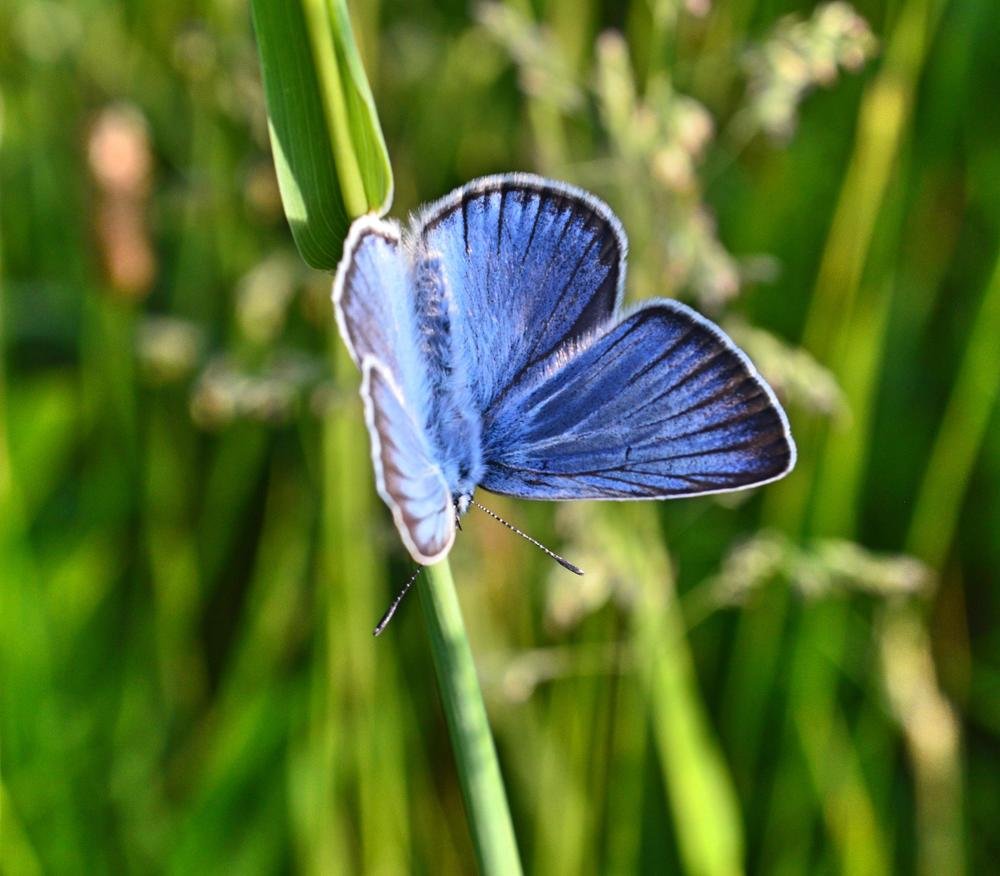 Photograph by Анастасия Литвинова