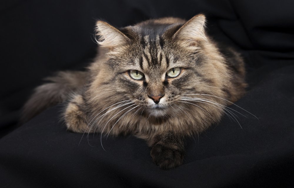 Photograph by Галина Щипакина