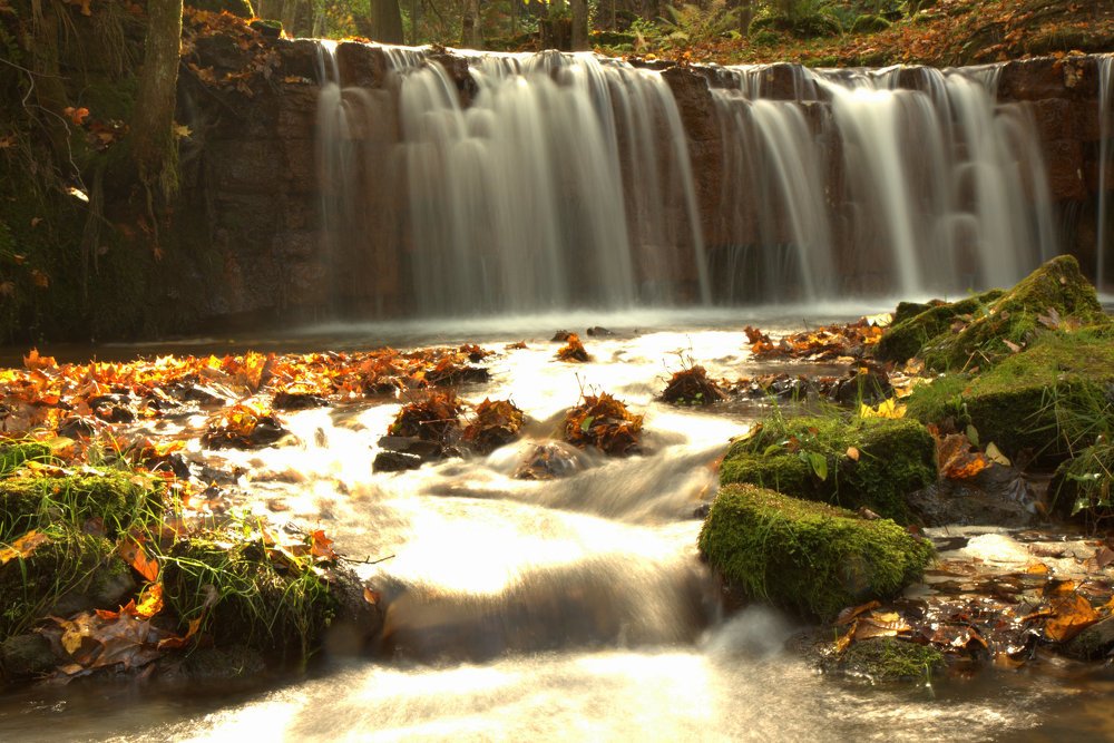 Photograph by Ирина Волкова