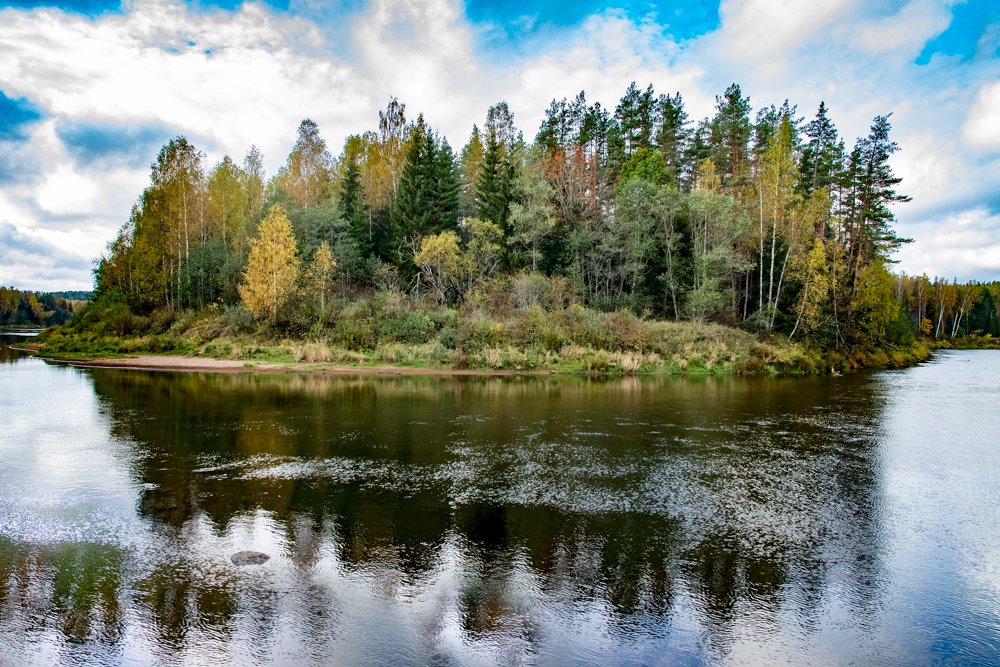 Осенняя сказка
