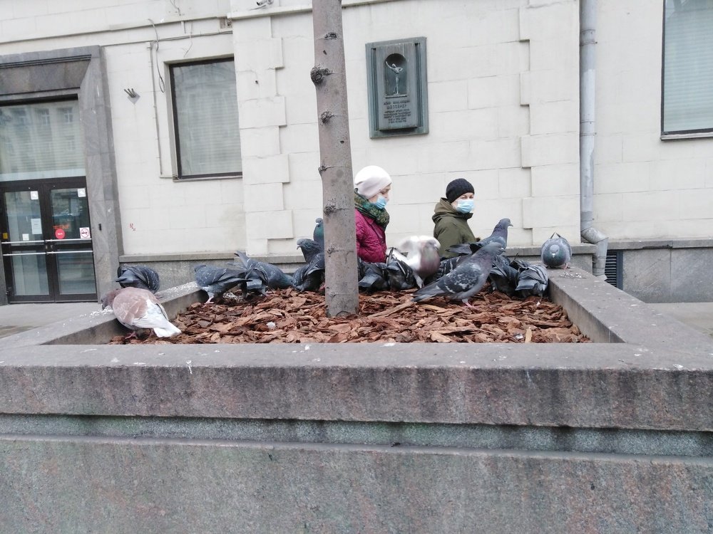 Photograph by Татьяна Ситникова