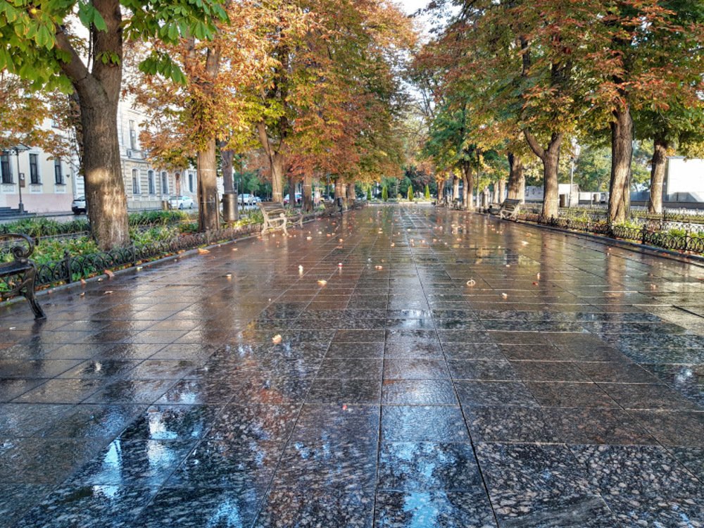 Photograph by Yurii Tofan