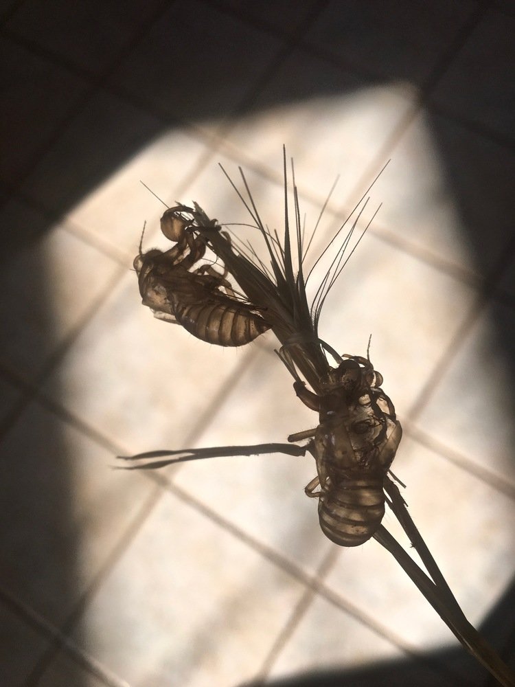 Photograph by Наталья Гладкая