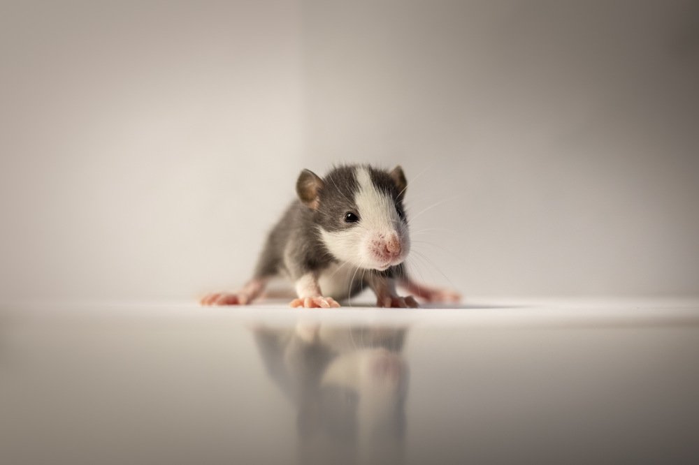 Photograph by  Юлия