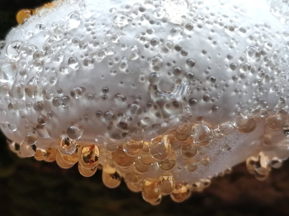 Photograph by Оксана Плугатарева