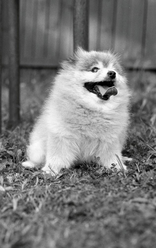 Photograph by Andres Papp