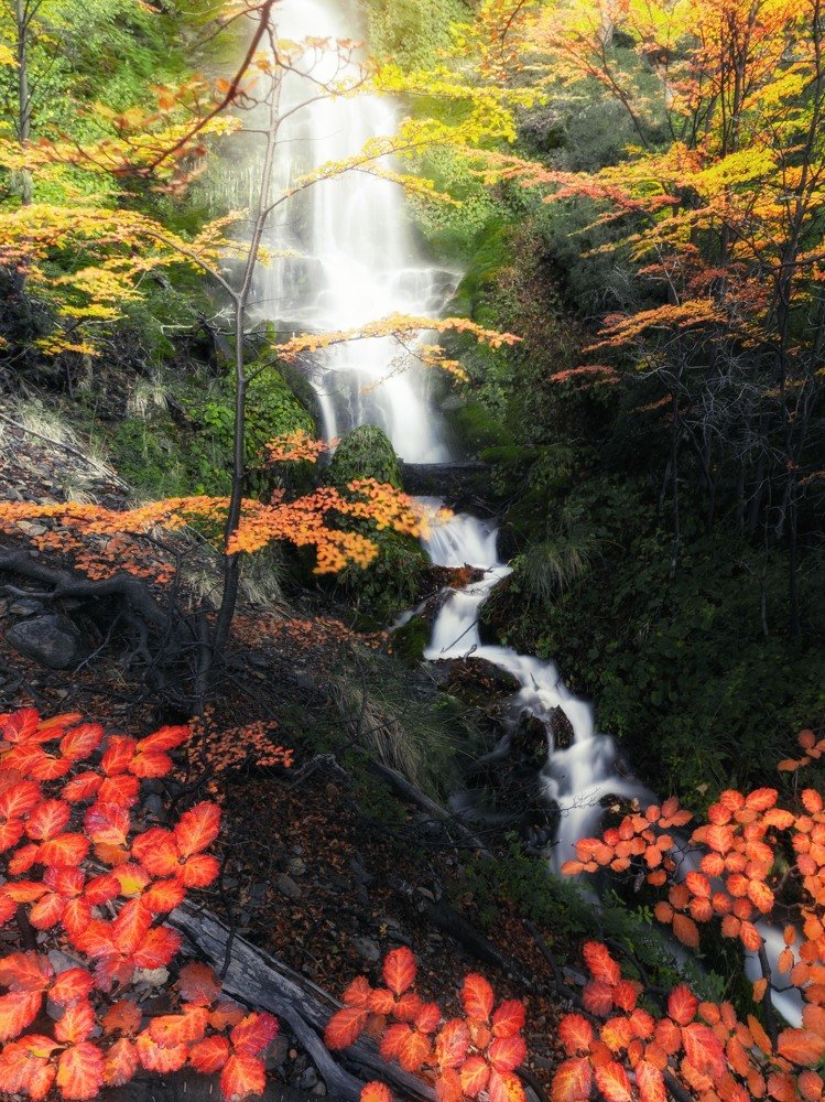 Photograph by Francisco Woloch