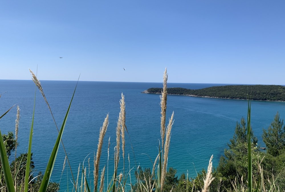 Photograph by Сергеева Татьяна