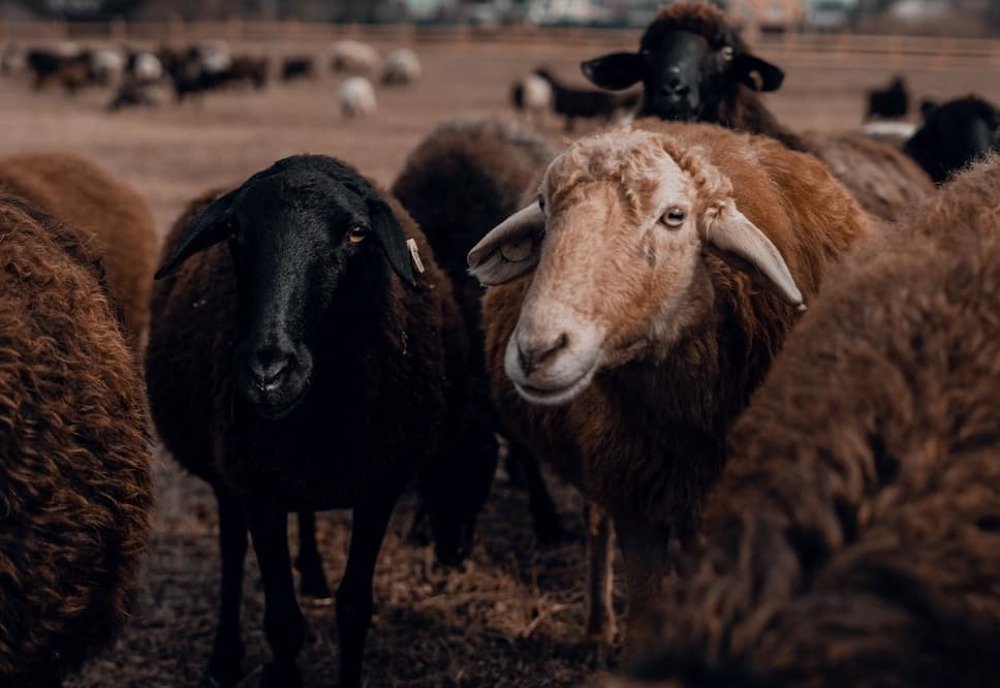 Photograph by Анна Силютина