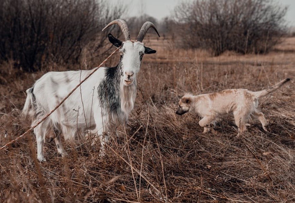 Photograph by Анна Силютина