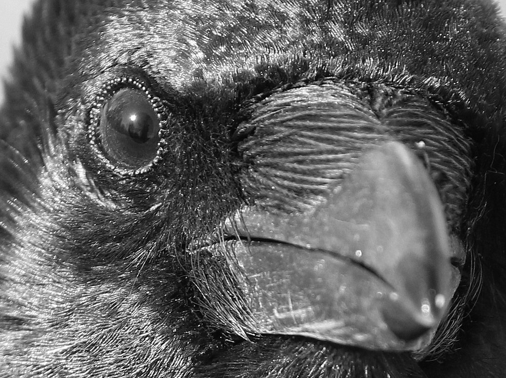 Photograph by Ирина Волкова