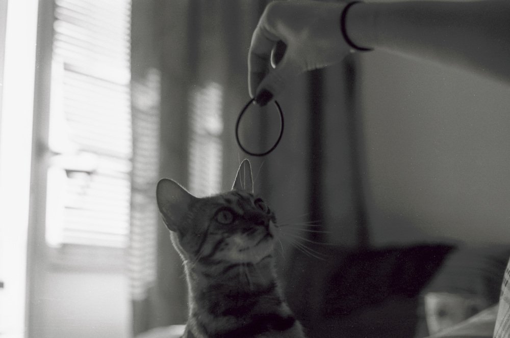 Photograph by Andres Papp