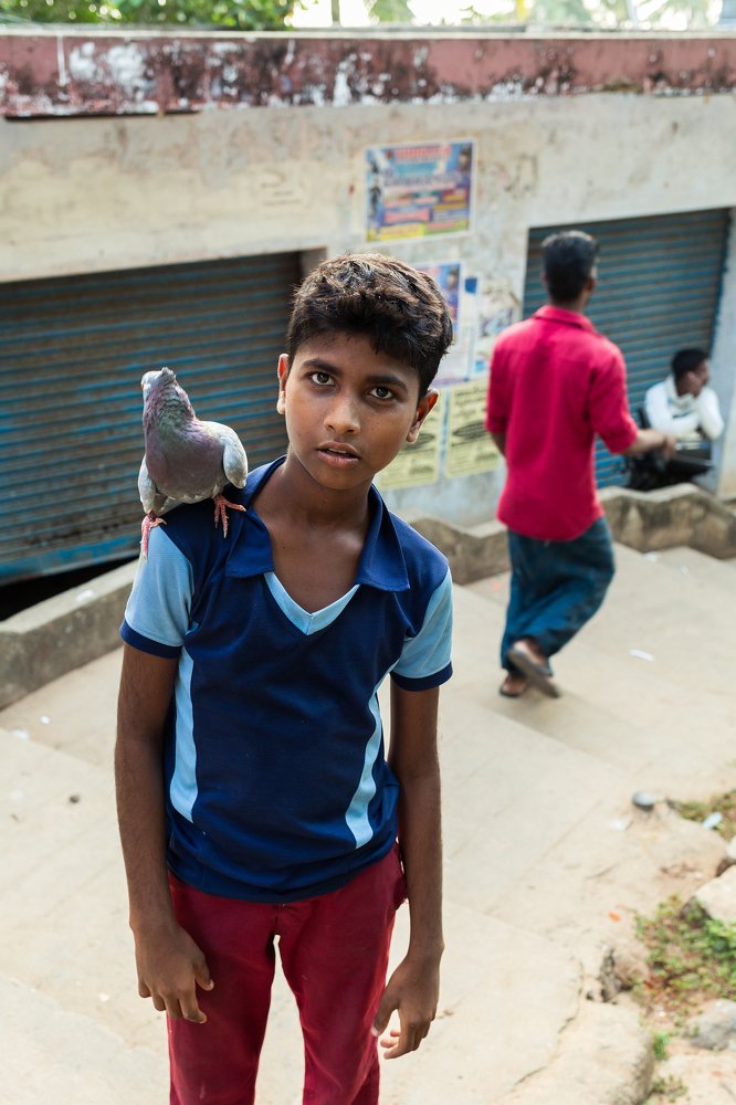 Photograph by Готардо Ронитис