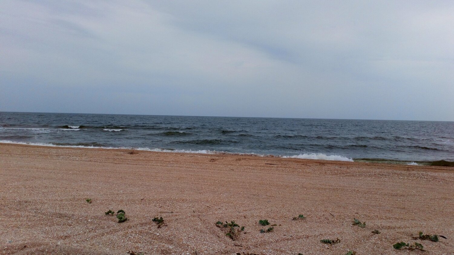 Photo #5185339
