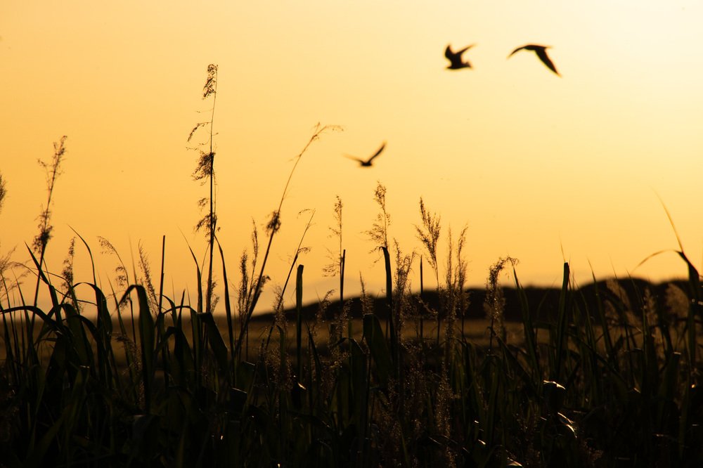 Фотография автора Fateme Jamali