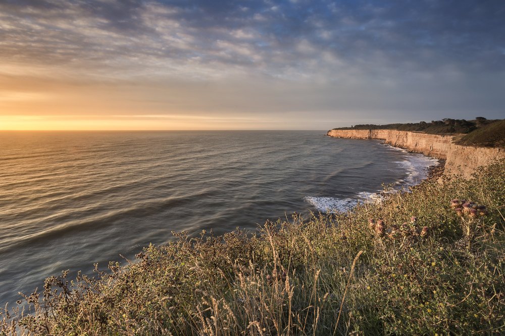 Photograph by Francisco Woloch