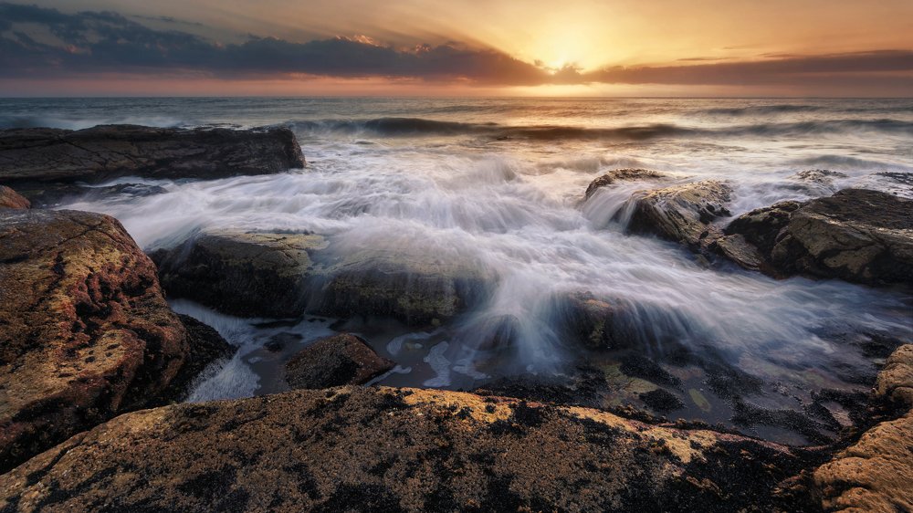 Photograph by Francisco Woloch