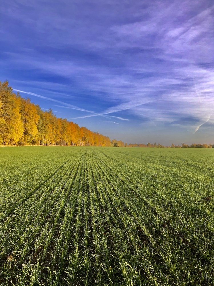 Photograph by Евгения Ципрук