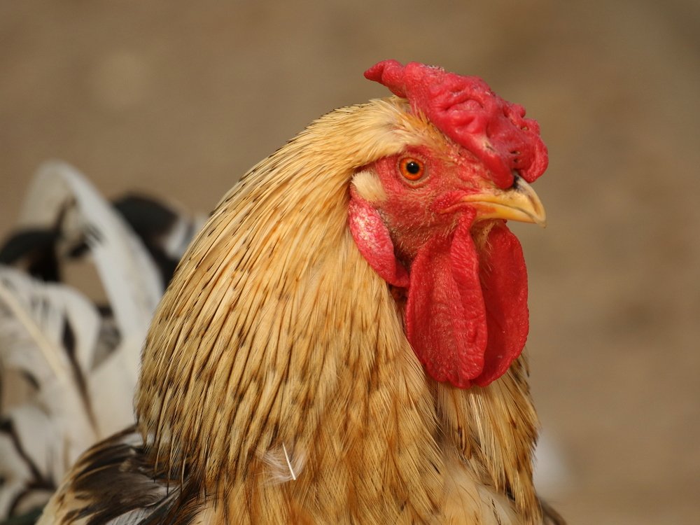 Photograph by Ирина Волкова