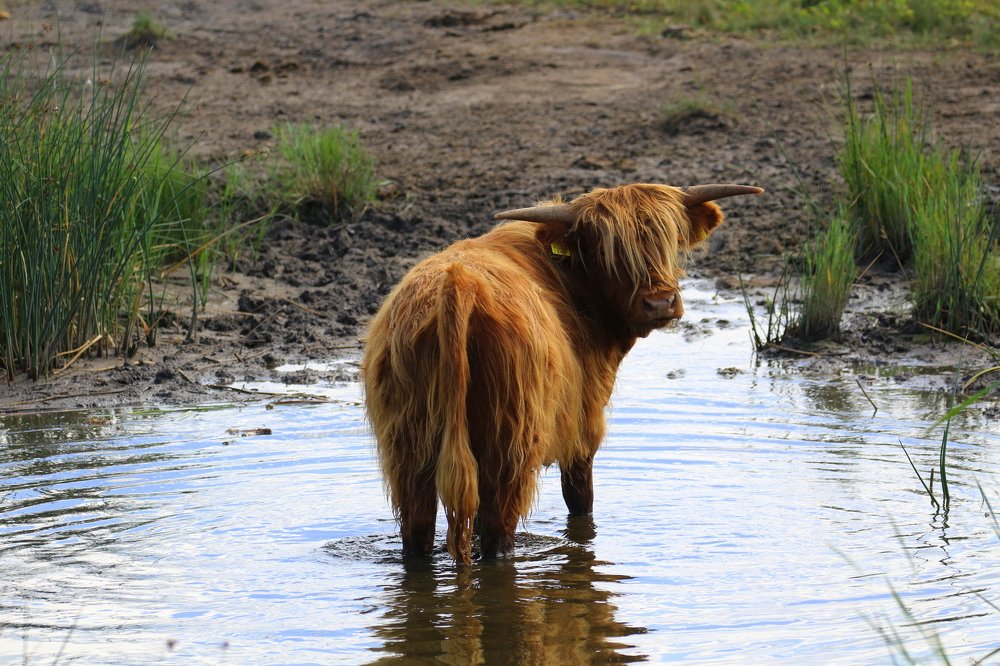 Photograph by Ирина Волкова