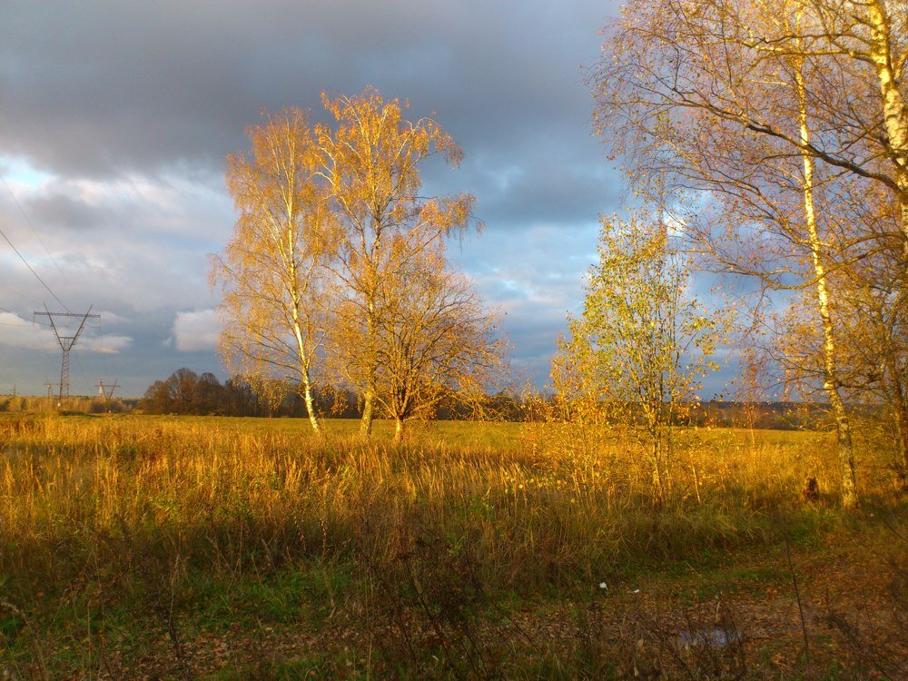 Photograph by евгения