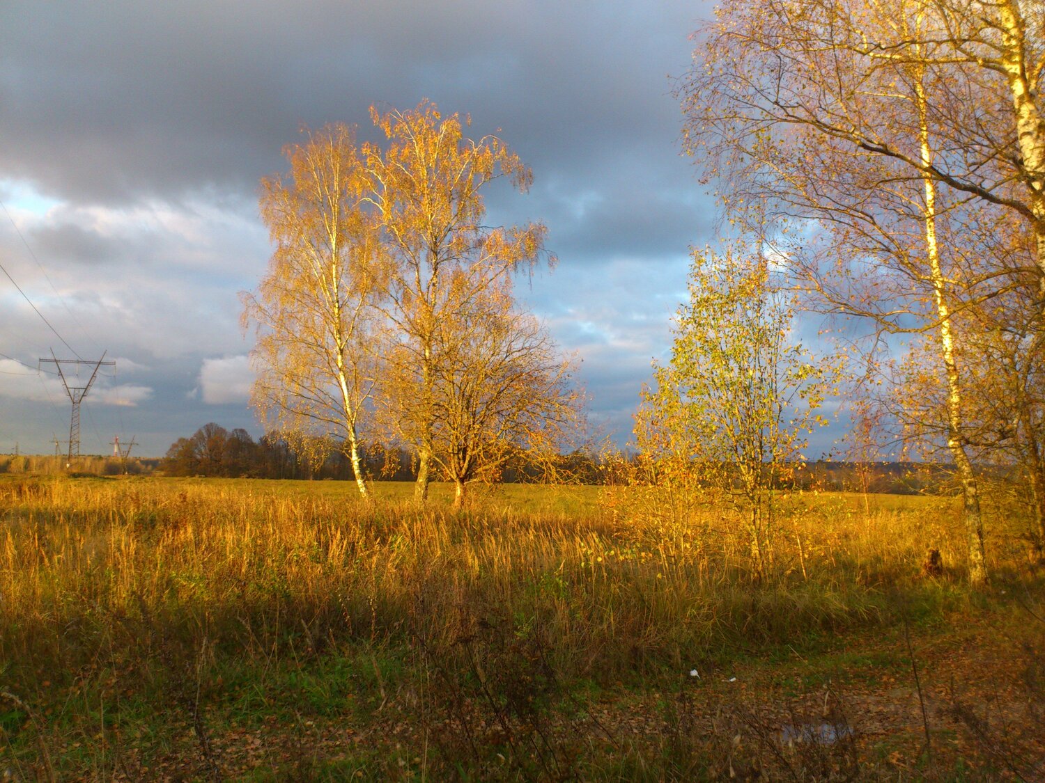 Photo #5185433