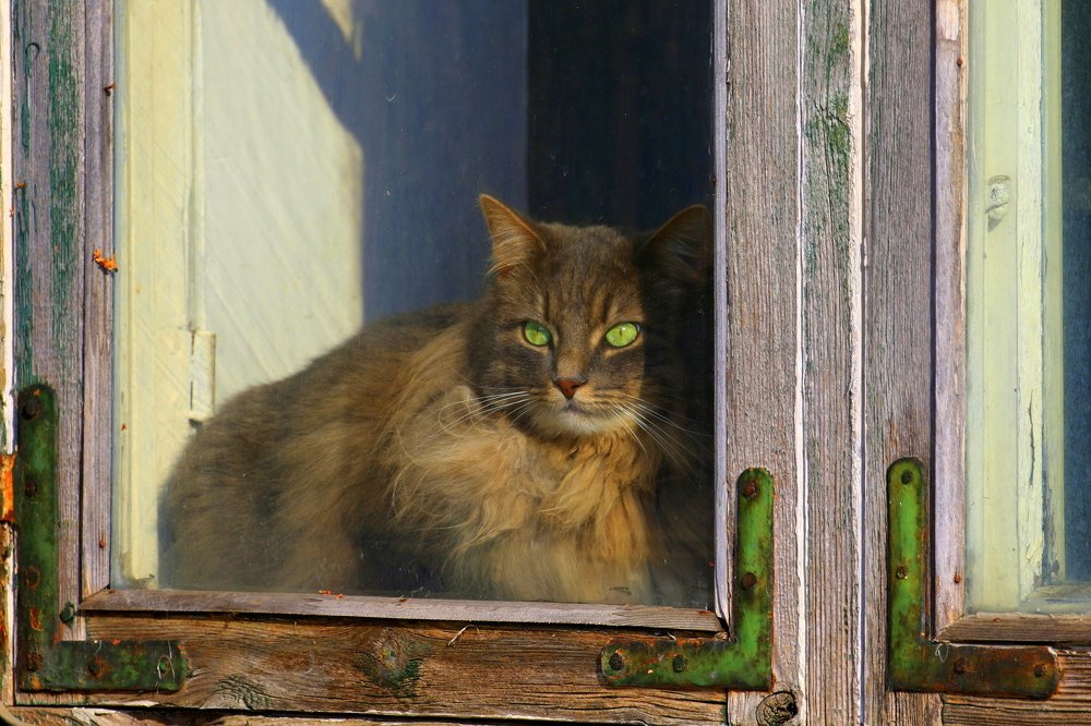 Photograph by Ирина Волкова