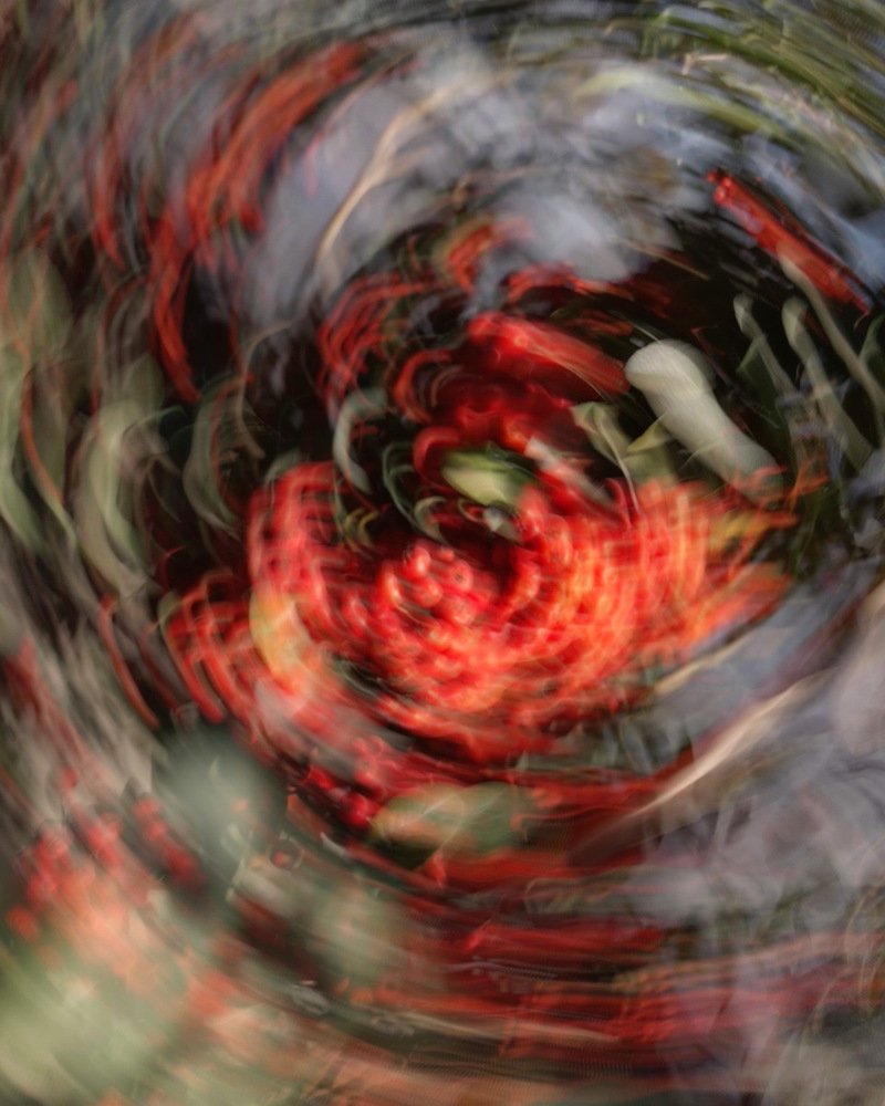 Photograph by Ангелина Журавлева