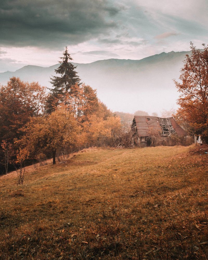 Photograph by Balog Francisc Sebastian