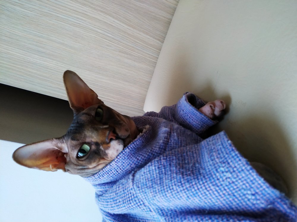 Наш обожаемый Эдгар