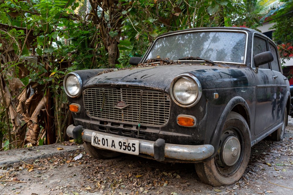 Photograph by Готардо Ронитис