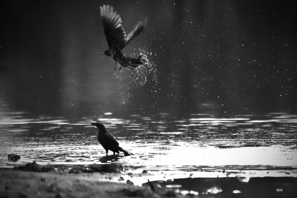 Photograph by Daniel Díaz