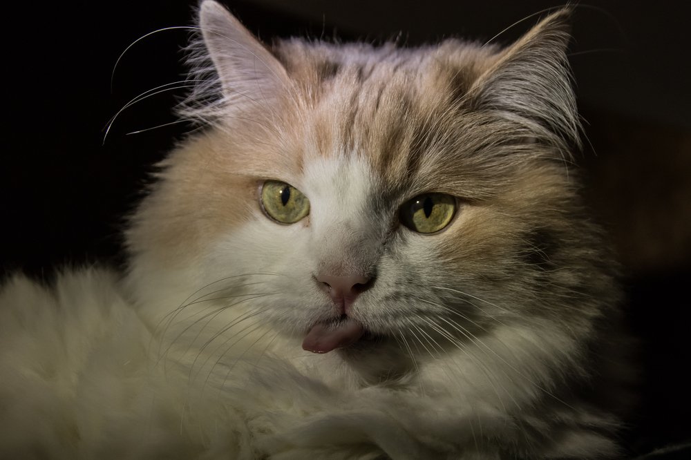 Photograph by Мария Тёмкина