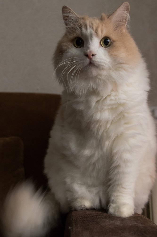 Photograph by Мария Тёмкина