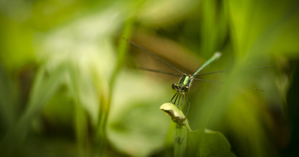 Photograph by Андрей Малыгин