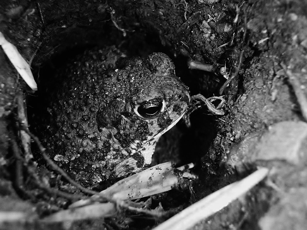 Photograph by Daniel Díaz