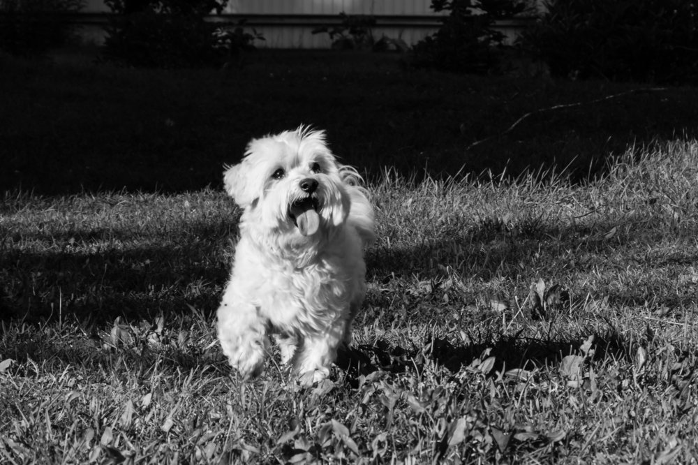 Photograph by Мария Тёмкина