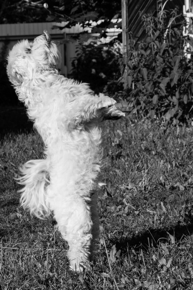 Photograph by Мария Тёмкина