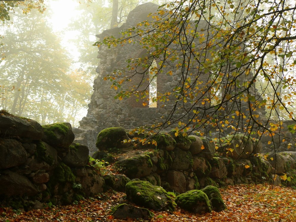 Photograph by Ирина Волкова