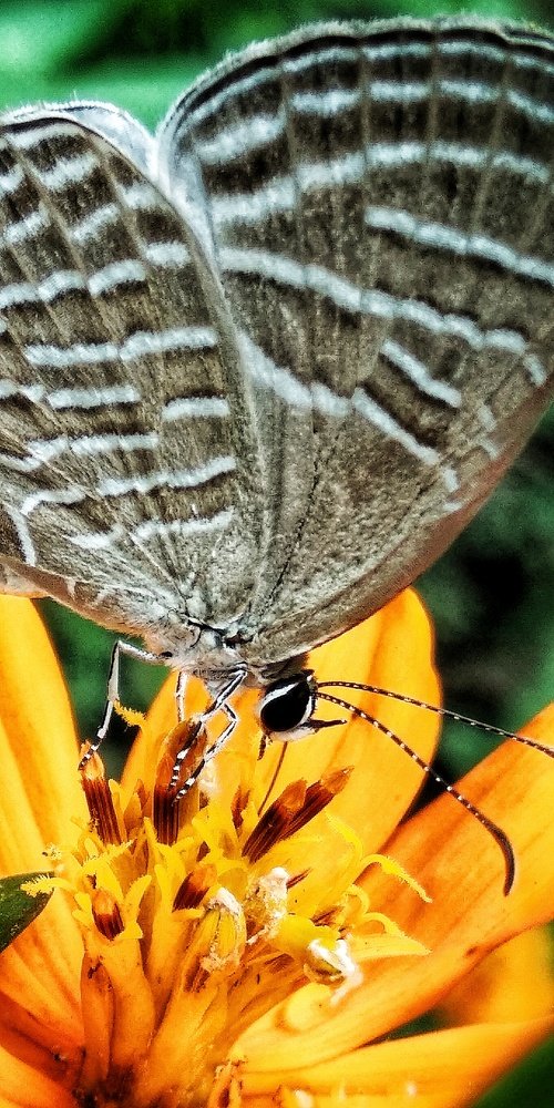 Photograph by Monuj Kr Dutta