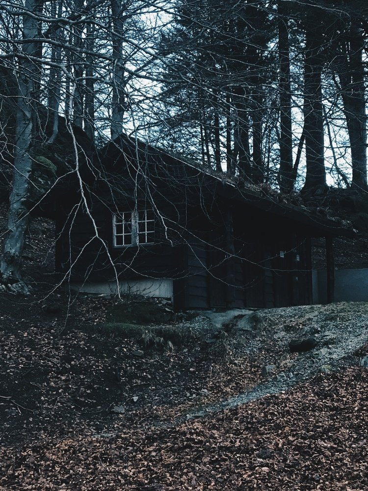 Photograph by Анастасия Лопатина