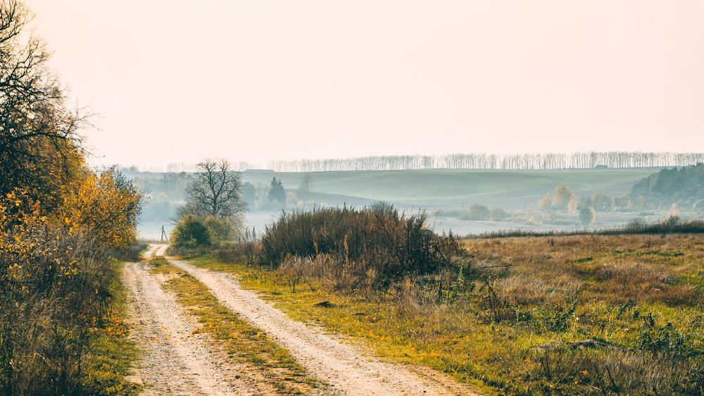 Фотография автора Татьяна Бычкова