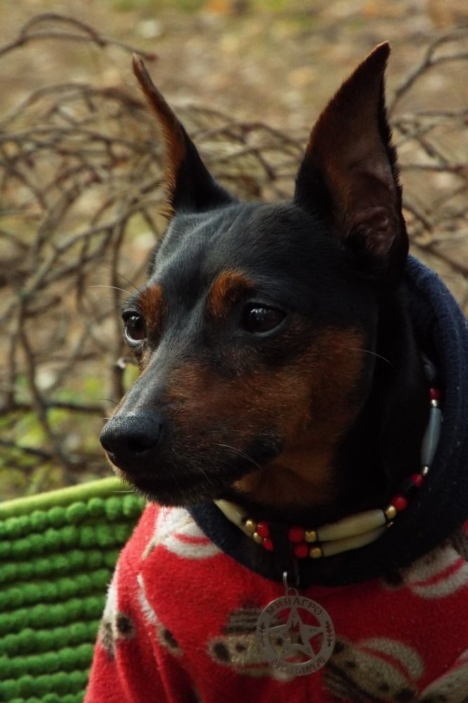 Фотография автора Виктор Конев