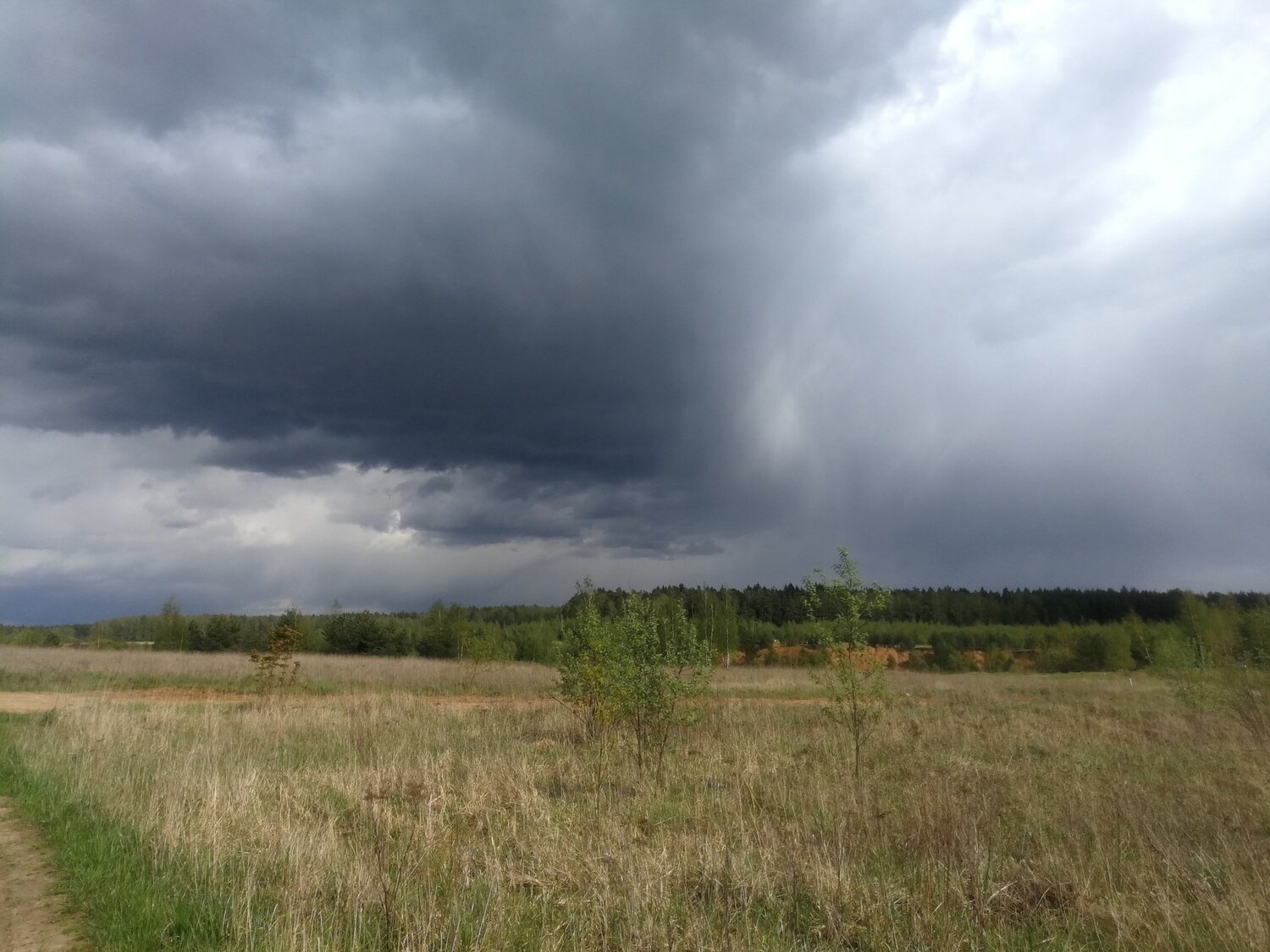 Photo #5185977